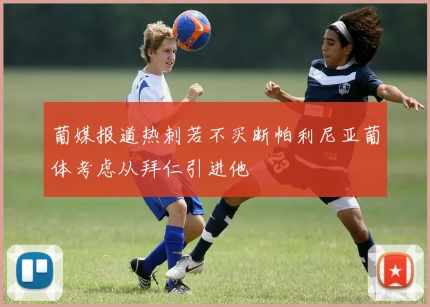葡媒报道热刺若不买断帕利尼亚葡体考虑从拜仁引进他